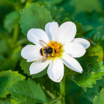 Spanish course Valladolid