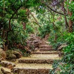 Learn Spanish Valladolid