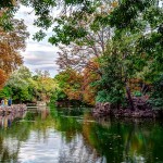 Learning Spanish in Valladolid, Spain