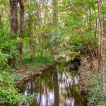 Learn Spanish in Valladolid - Study Spanish at Valladolid with SpanishPodcast