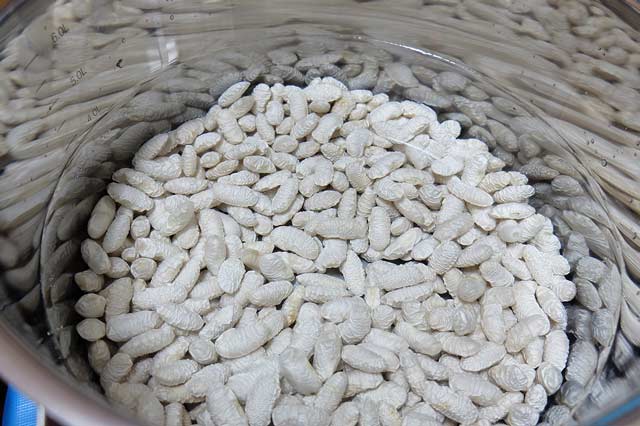 fabada asturiana learn spanish fabada asturiana learn spanish