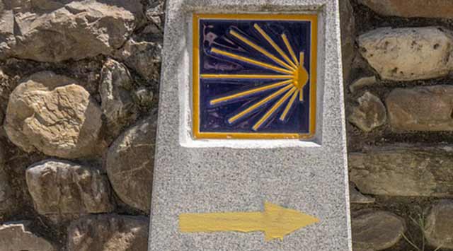 vieira-y-flecha-amarilla-camino-santiago
