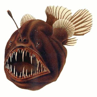 Learn Spanish listening: Ser un monstruo