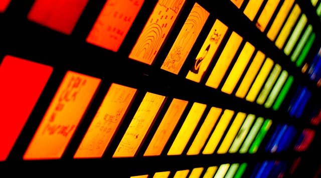 Spanish idioms tener pocas luces