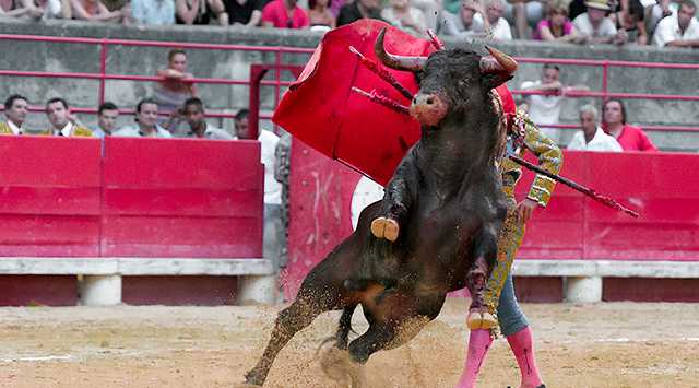 bullfighting - banderillas