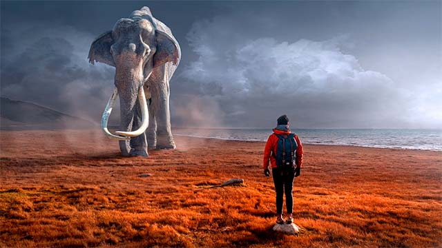 subjunctive spanish practice