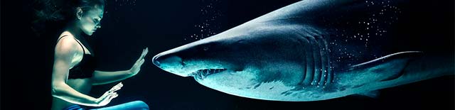 learn spanish pillar tranquillo