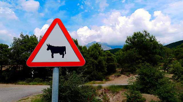 hasta el rabo todo es toro