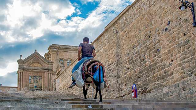 caerse-del-burro-meaning