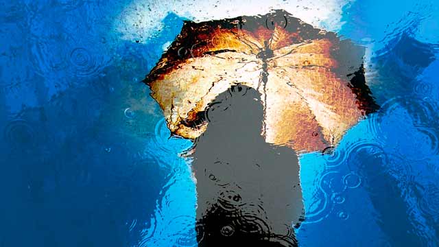 caer la del pulpo learn spanish