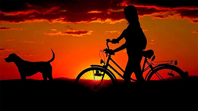 transitive-intransitive-verbs-spanish