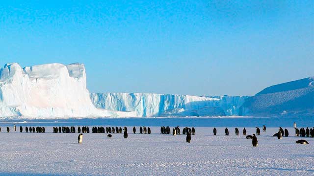 learn-spanish-antartica