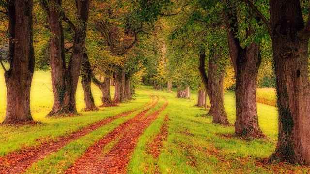 learn-spanish-camino-de-idiomas